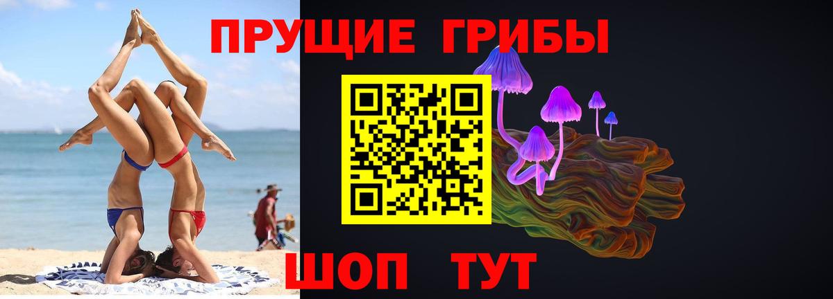 Галлюциногенные грибы Psilocybine cubensis  Вход с VPN  Назарово 